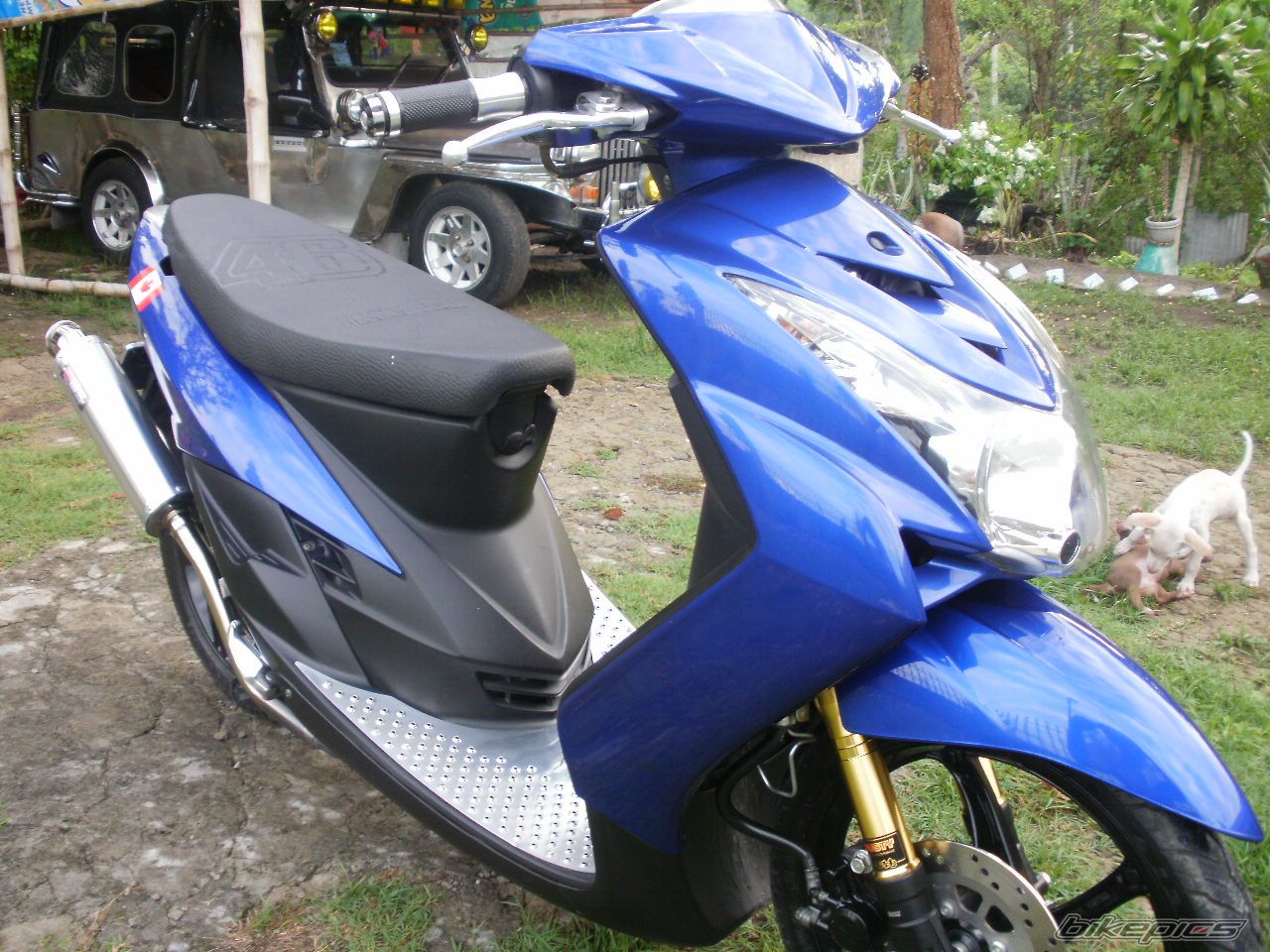 Photo 2033984