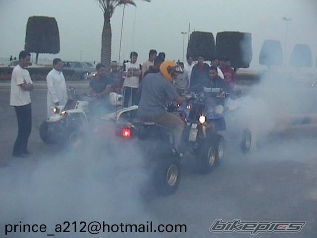 Photo 203449