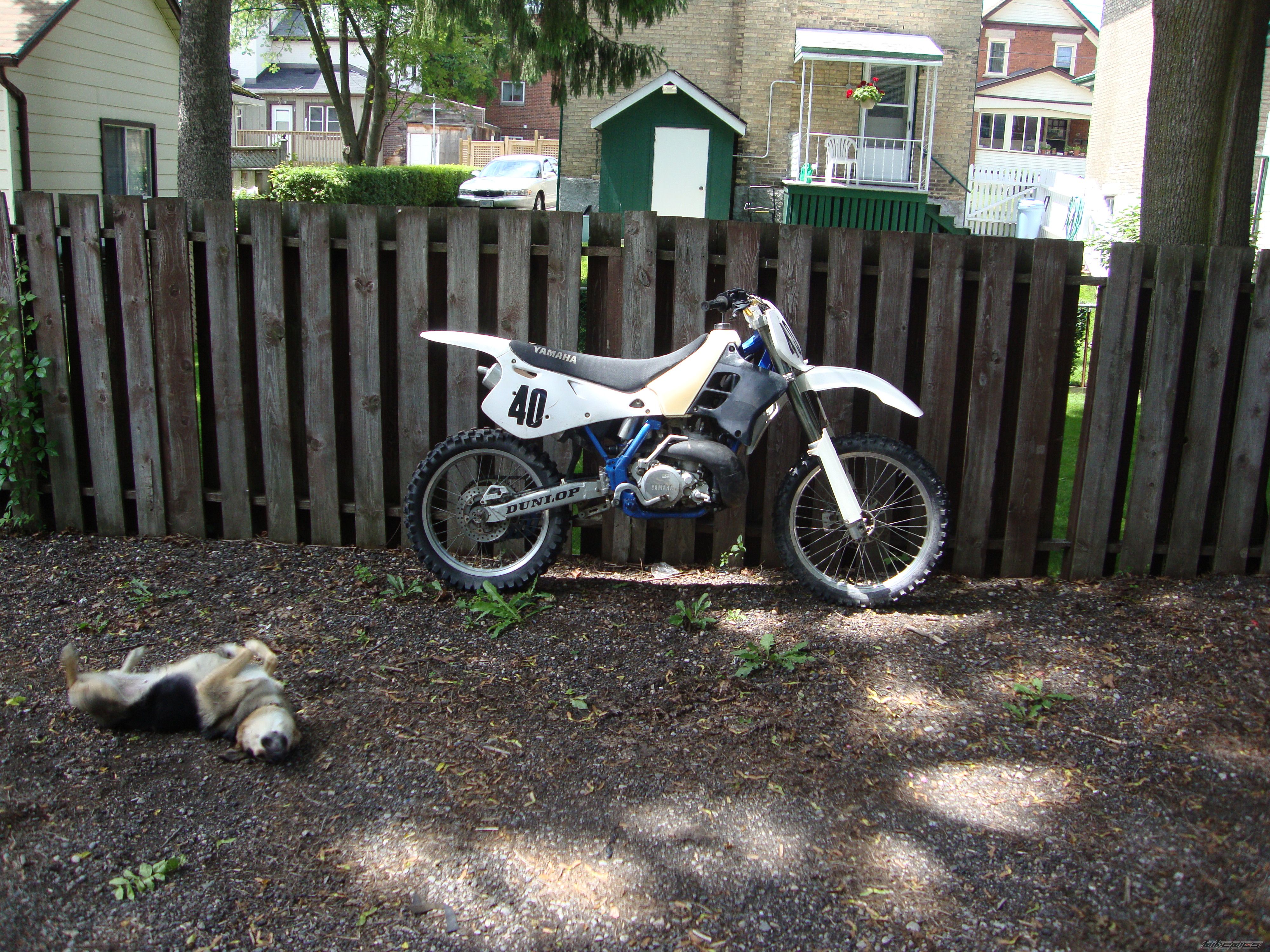 Photo 2034601
