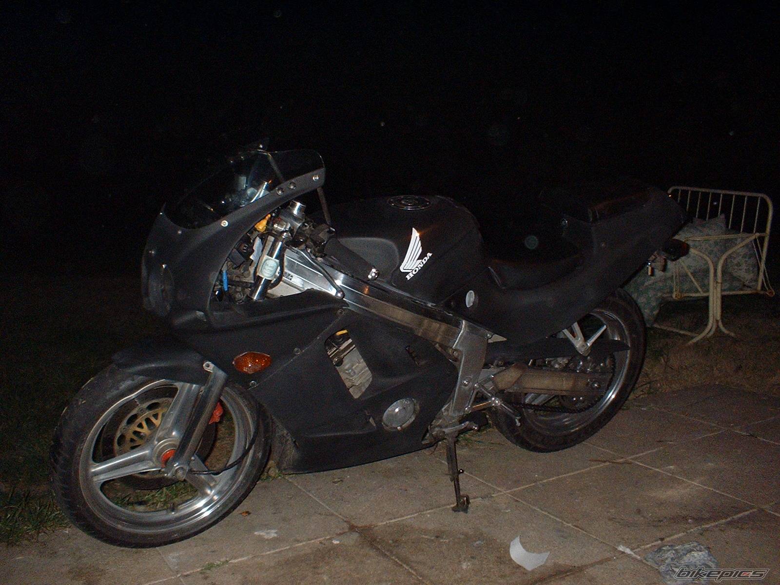 Photo 203470