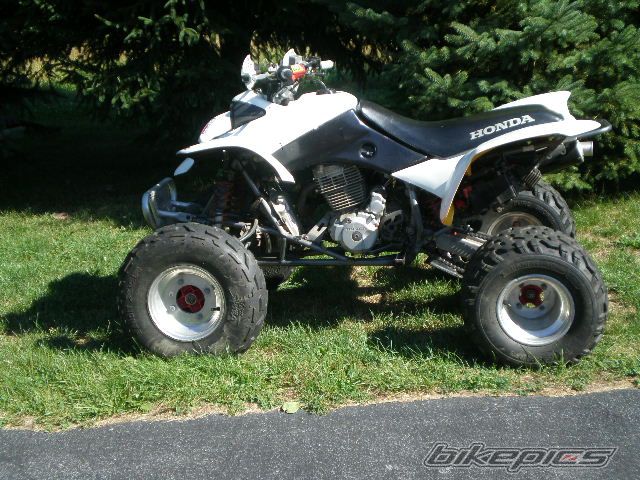 Photo 2034819