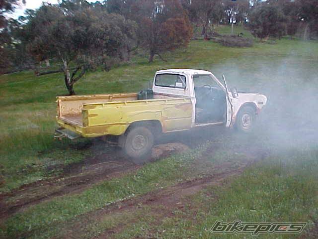 Photo 203482
