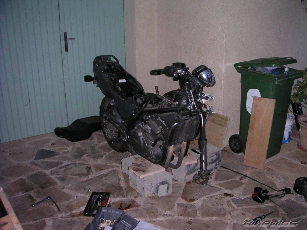 Photo 203485
