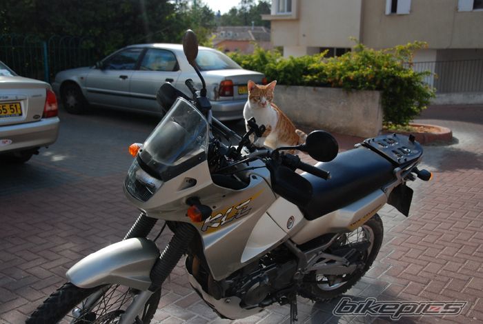 Bike Photo 2035033