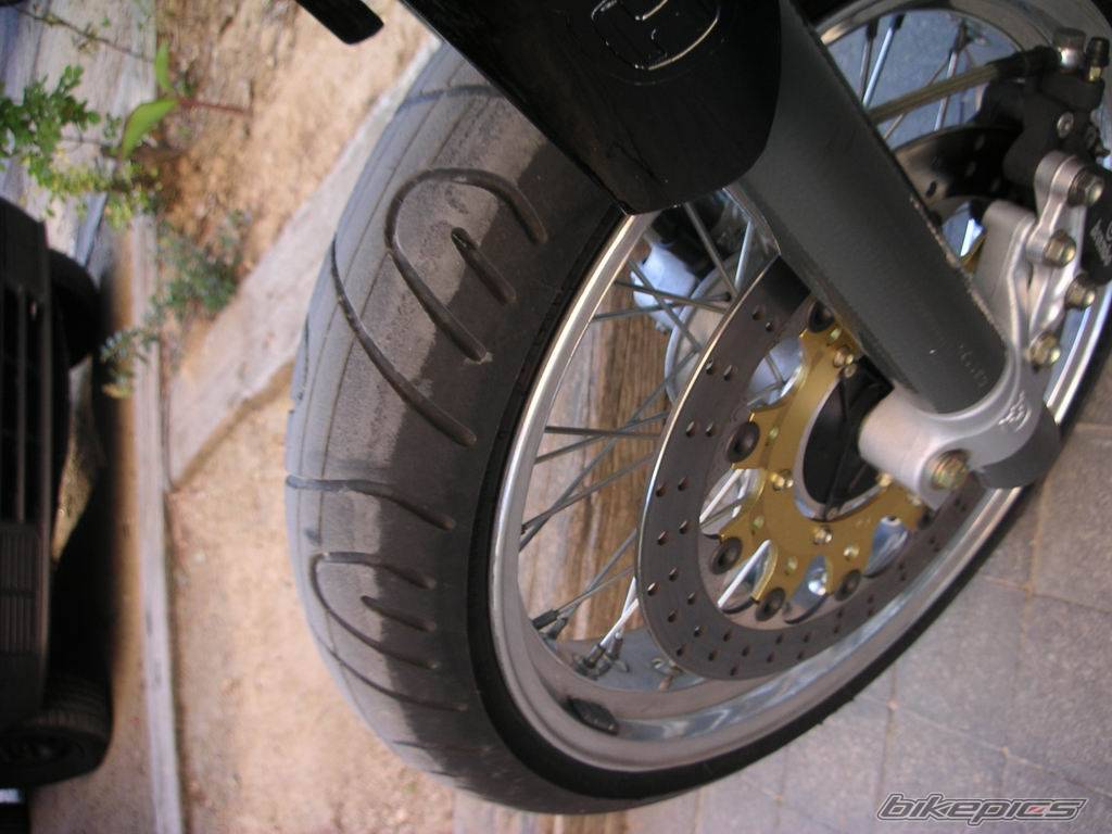 Photo 203522