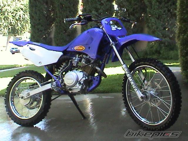 Photo 203574