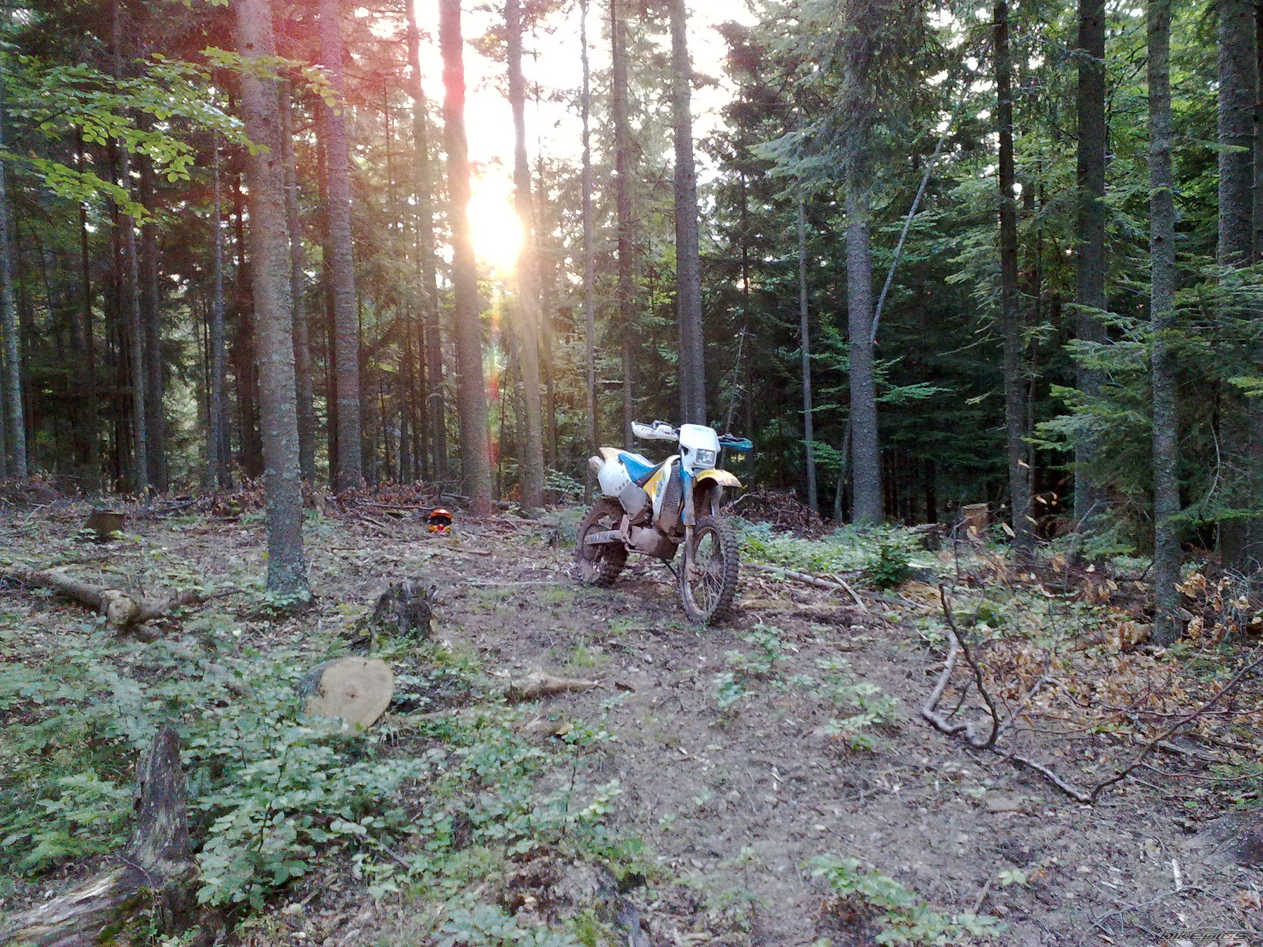 Photo 2035742
