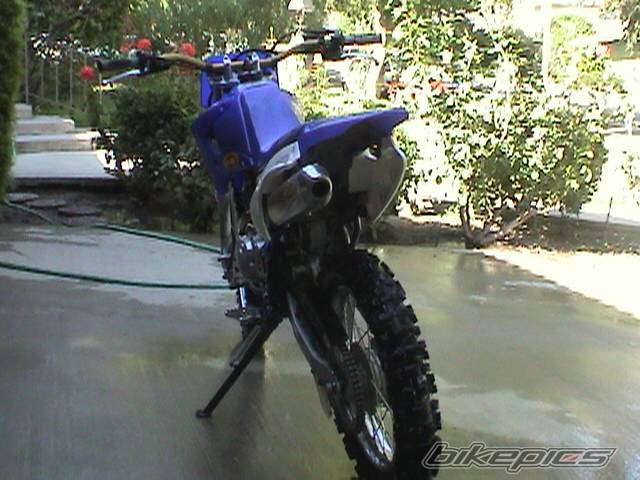 Photo 203576