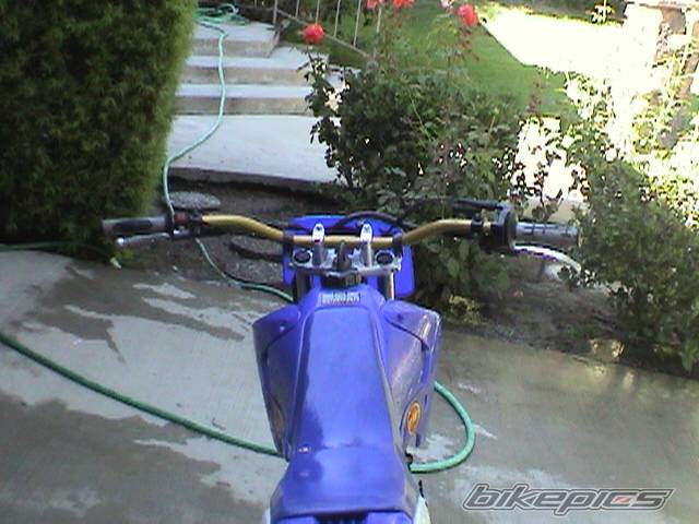 Photo 203577