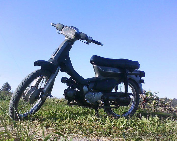 Photo 2035995