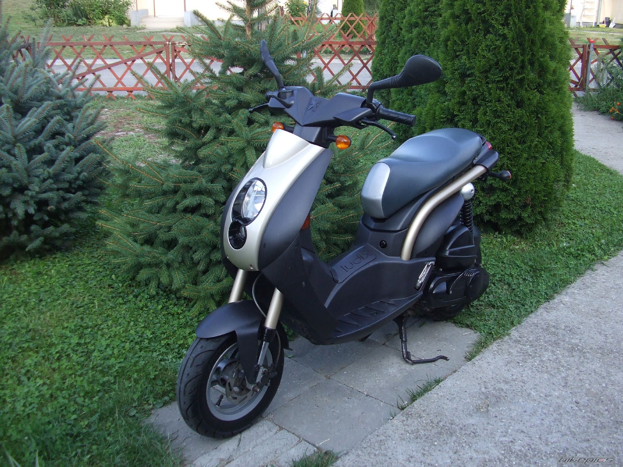 Photo 2036035
