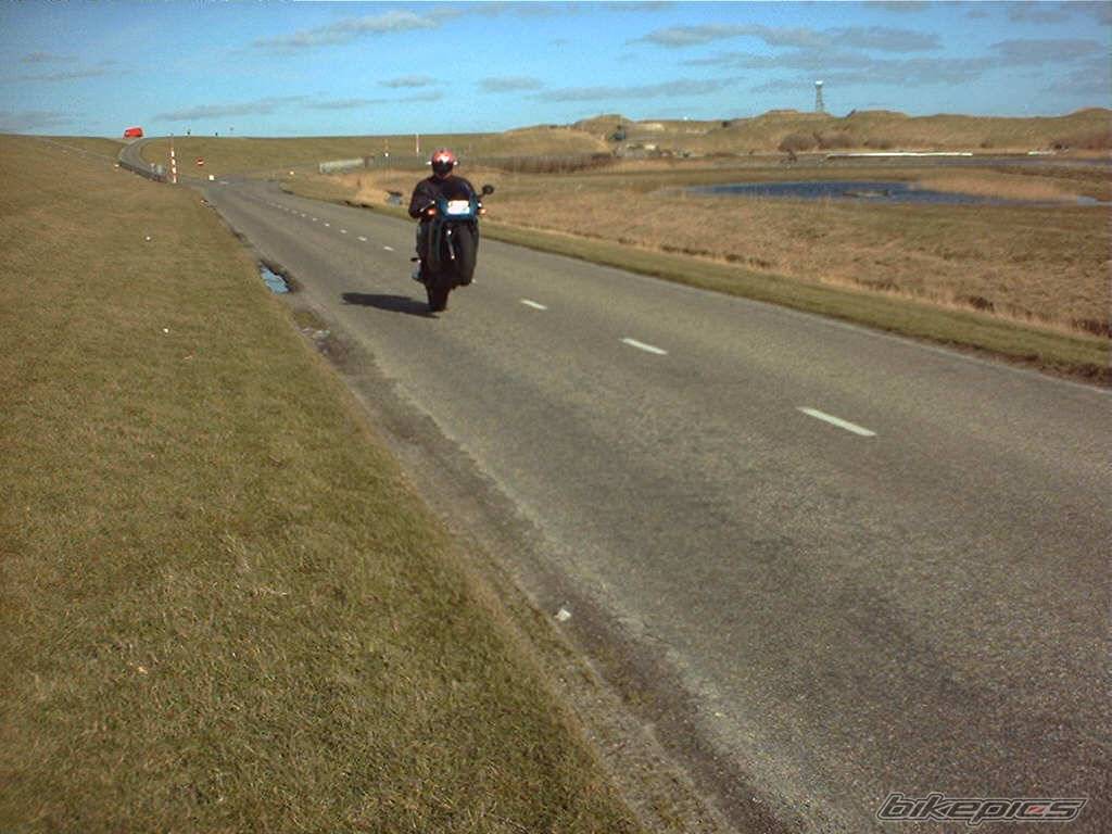 Photo 20361