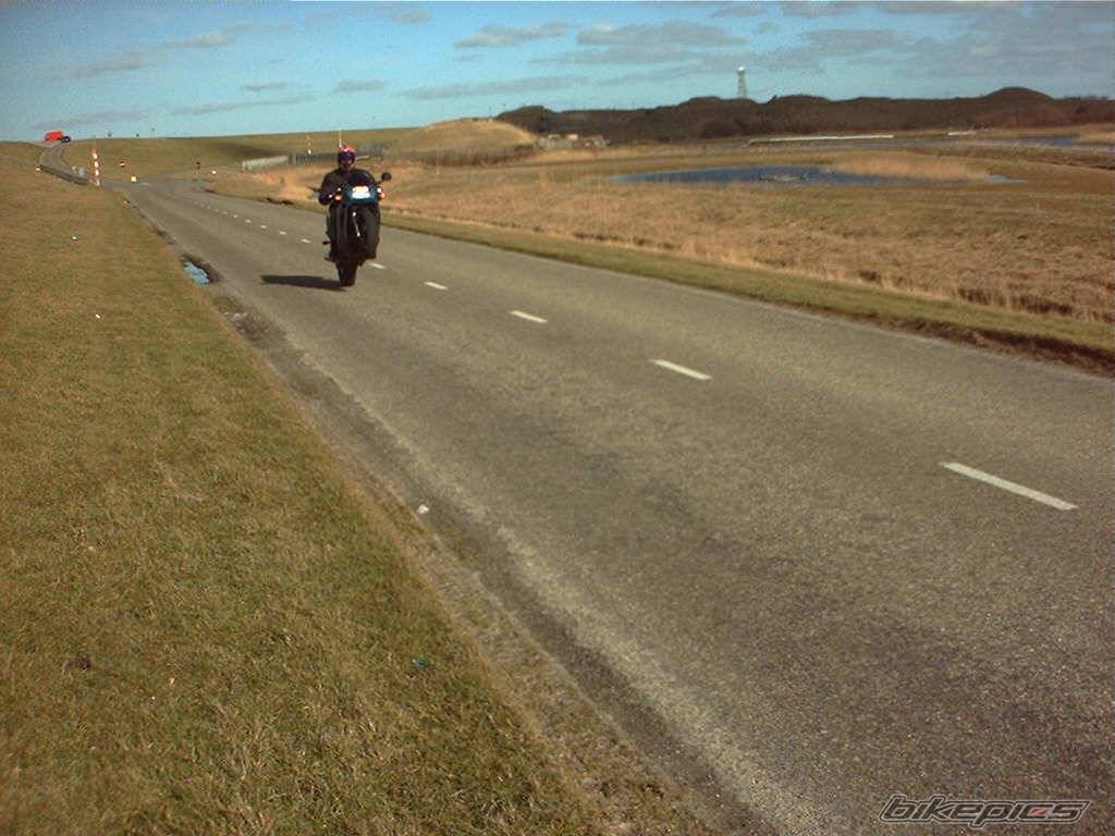 Photo 20362