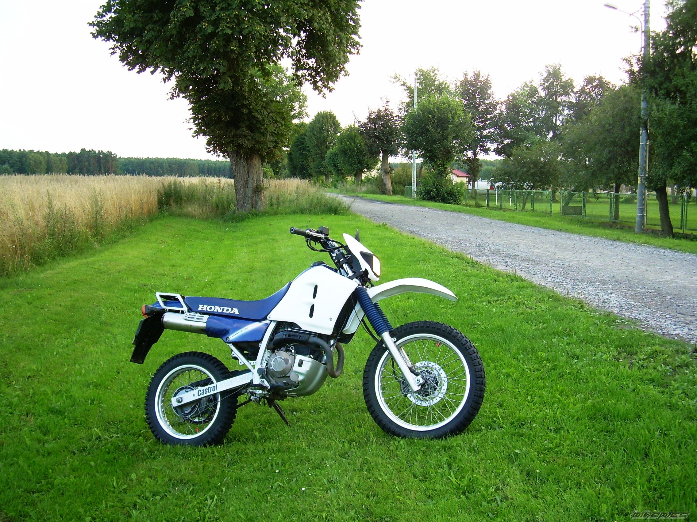 Photo 2036357
