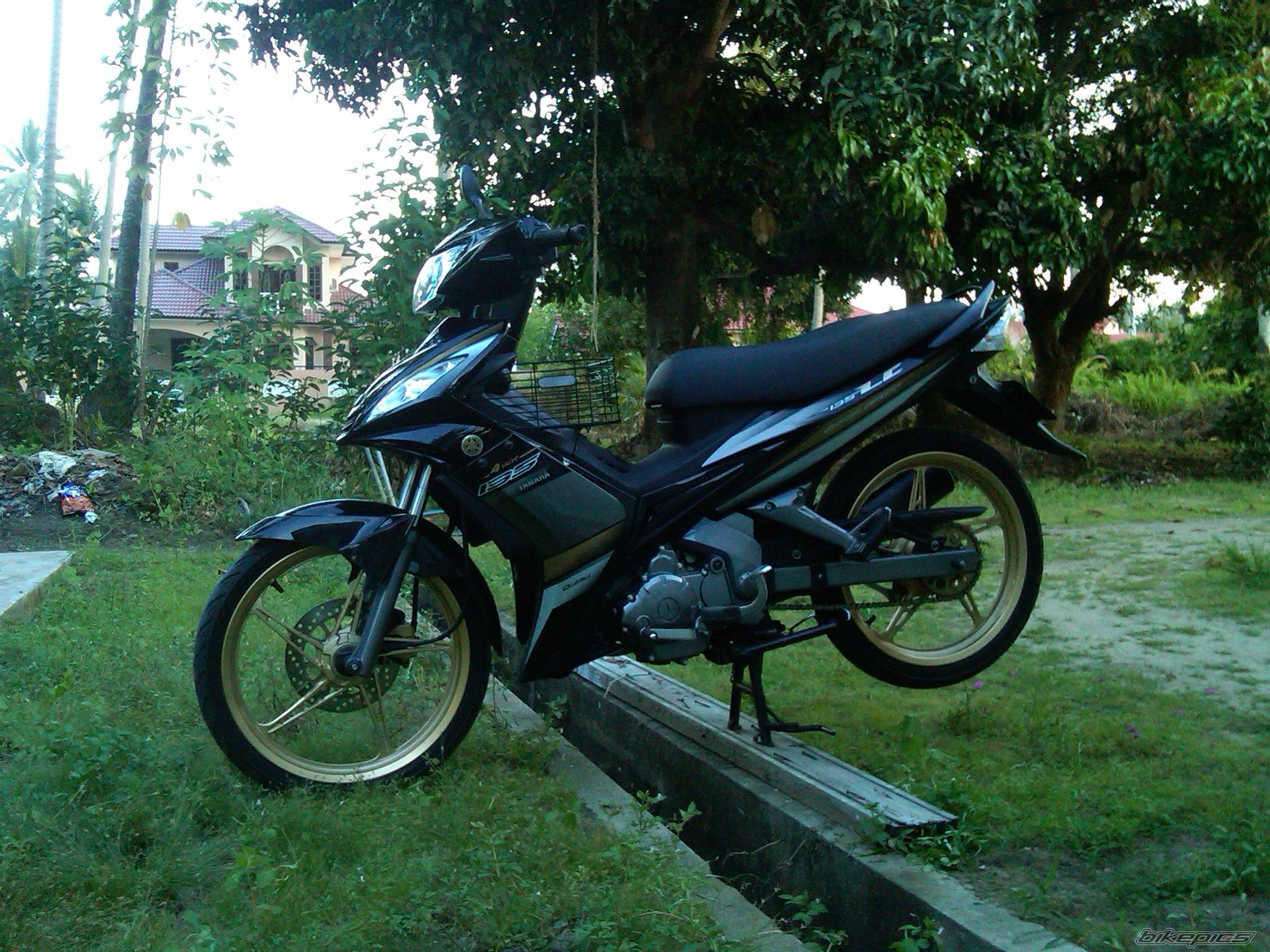 Photo 2036443