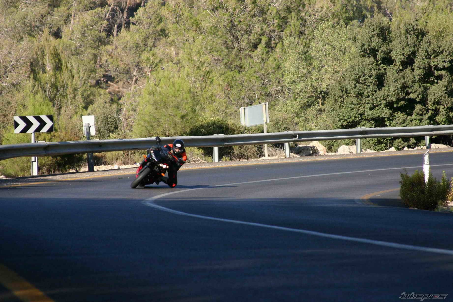 Photo 203653