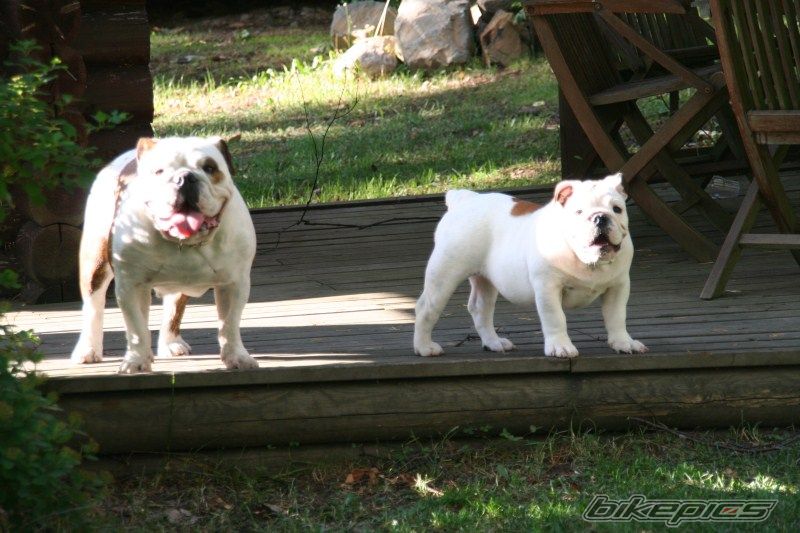 Photo 2036536