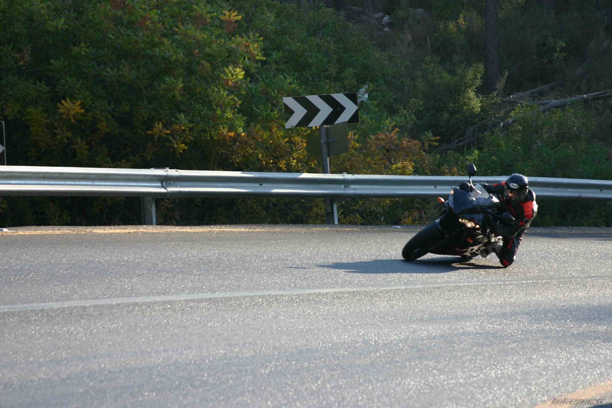 Photo 203654