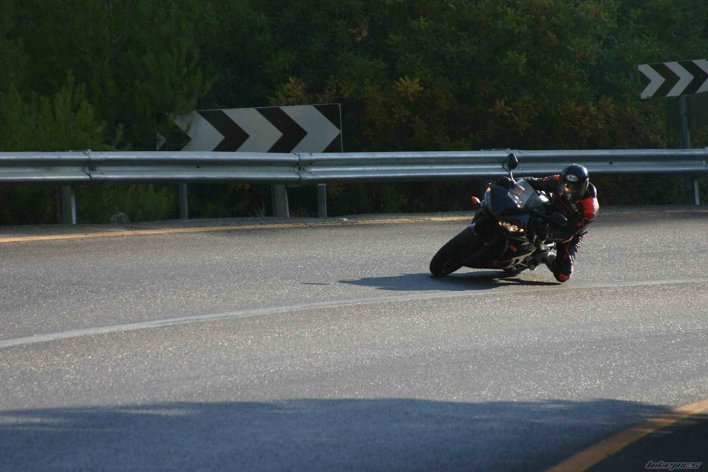 Photo 203655