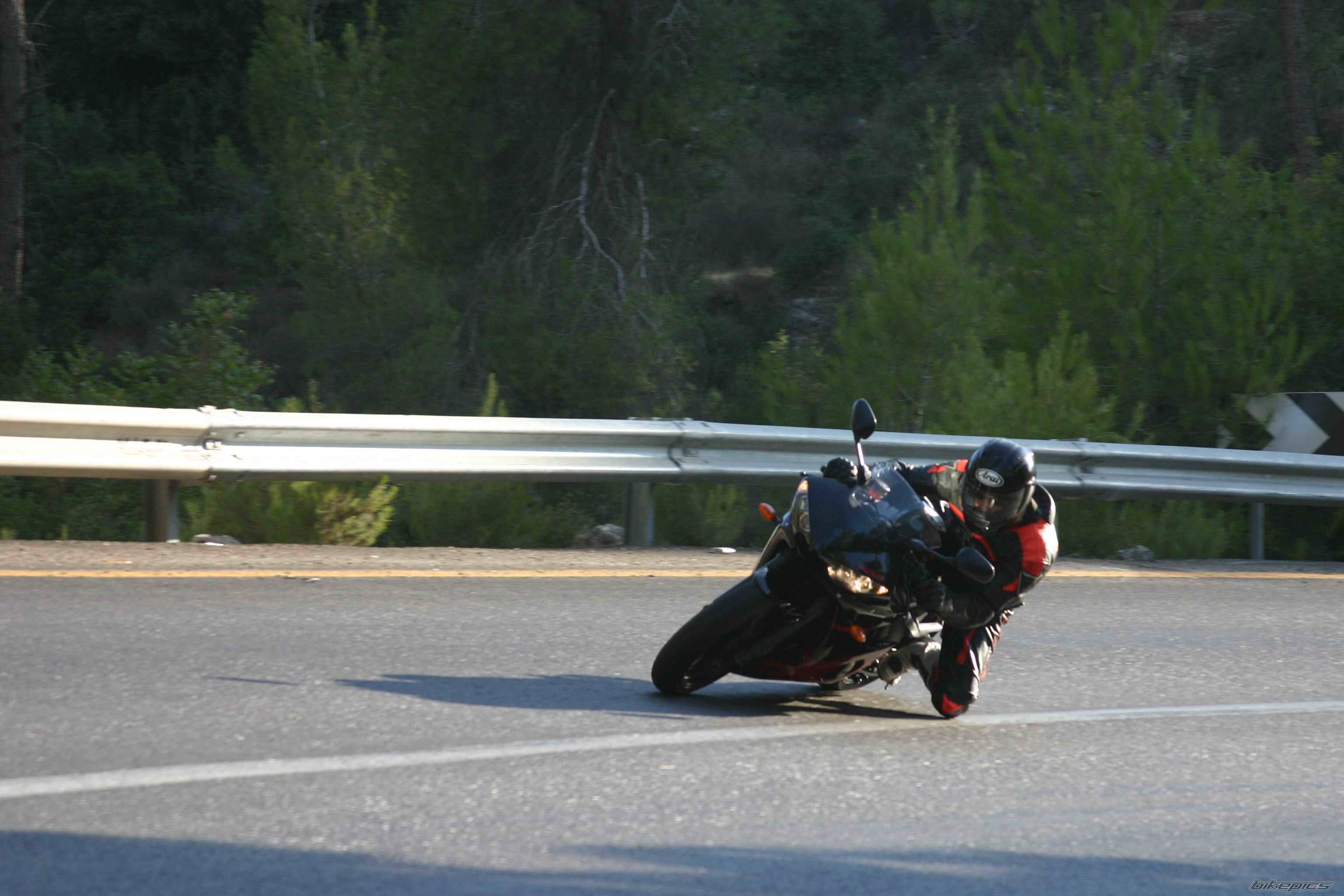 Photo 203656
