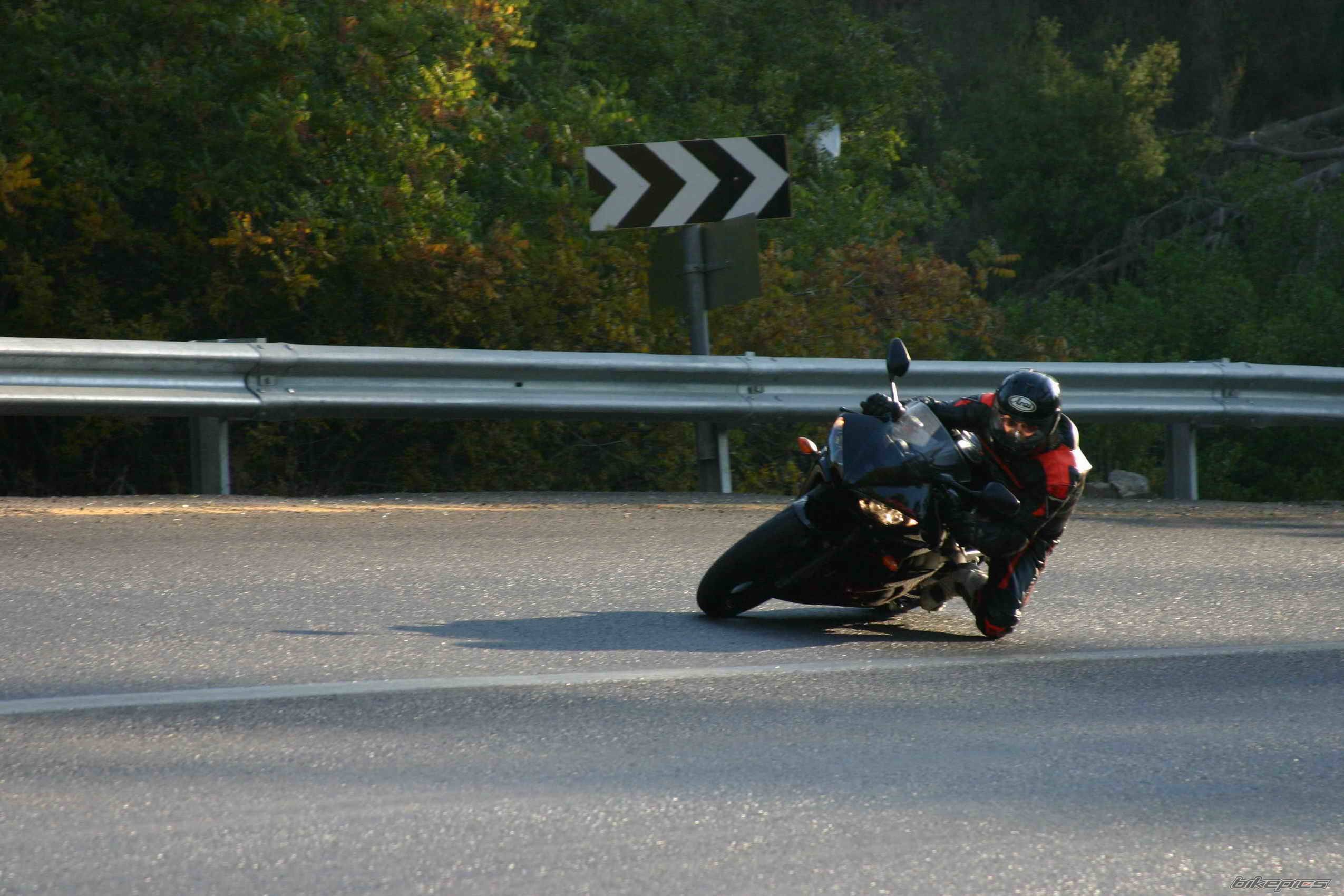 Photo 203657
