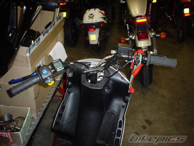 Photo 203662