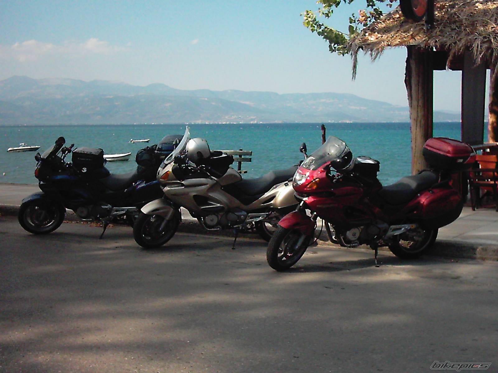Photo 203670