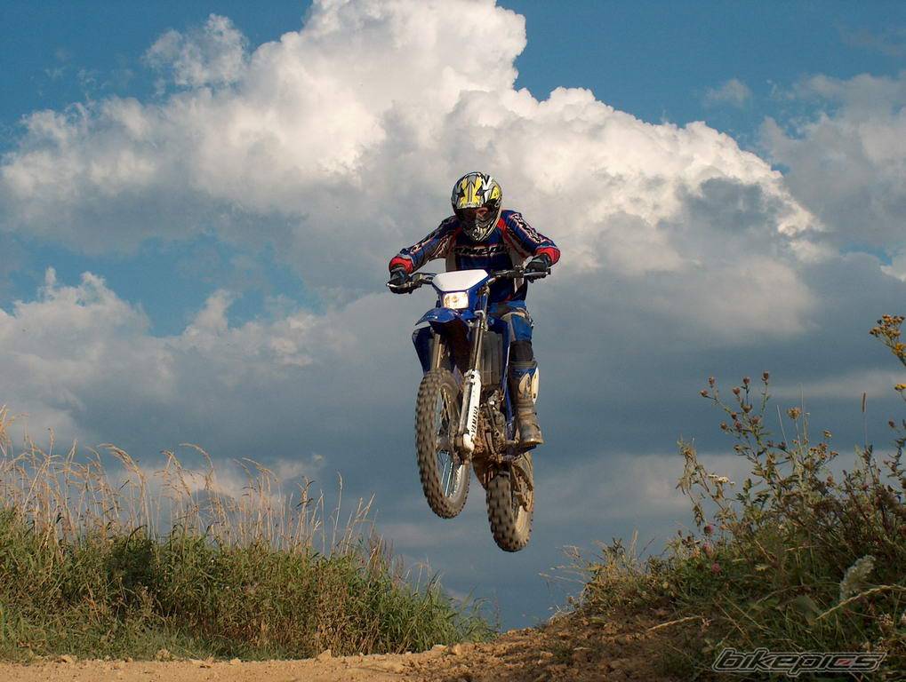 Photo 203681