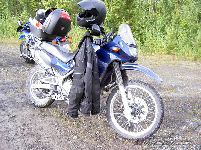 Photo 203683