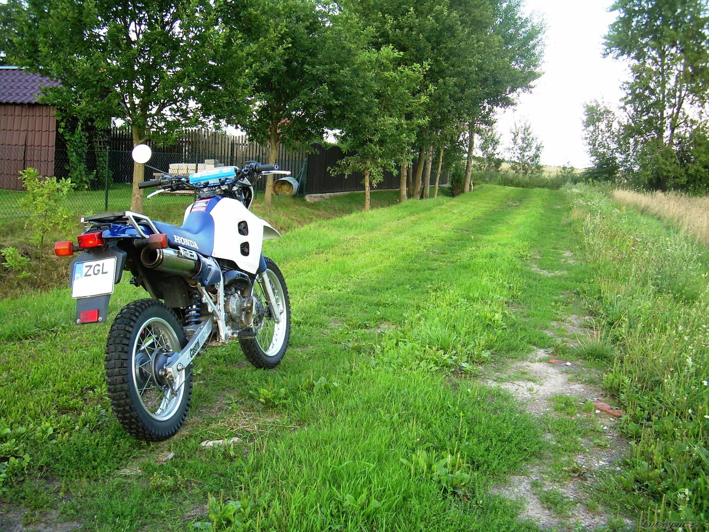 Photo 2036876