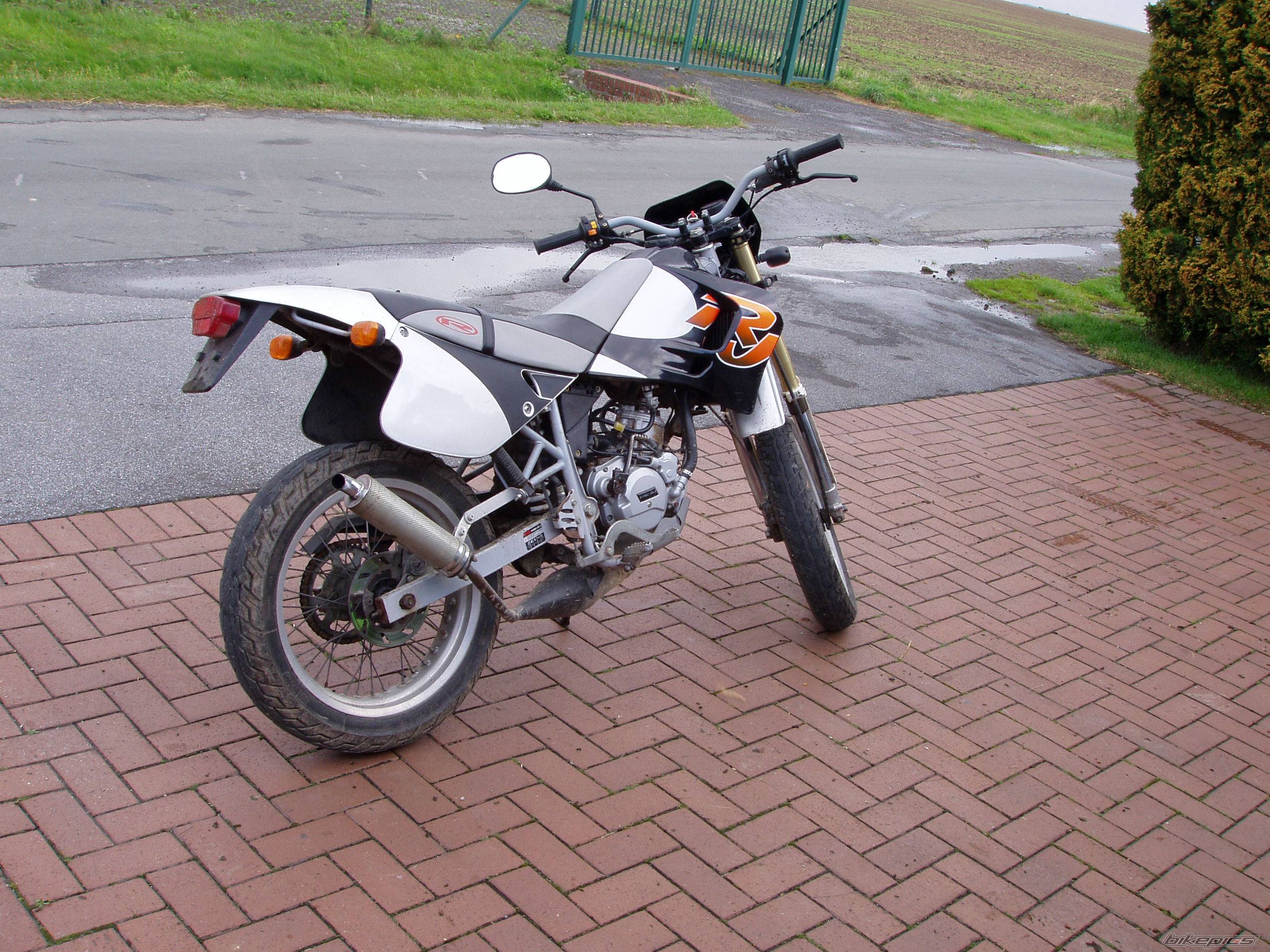 Photo 203690