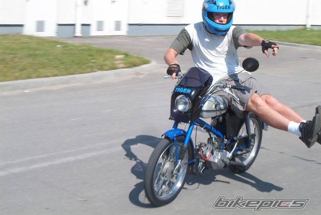 Photo 203693