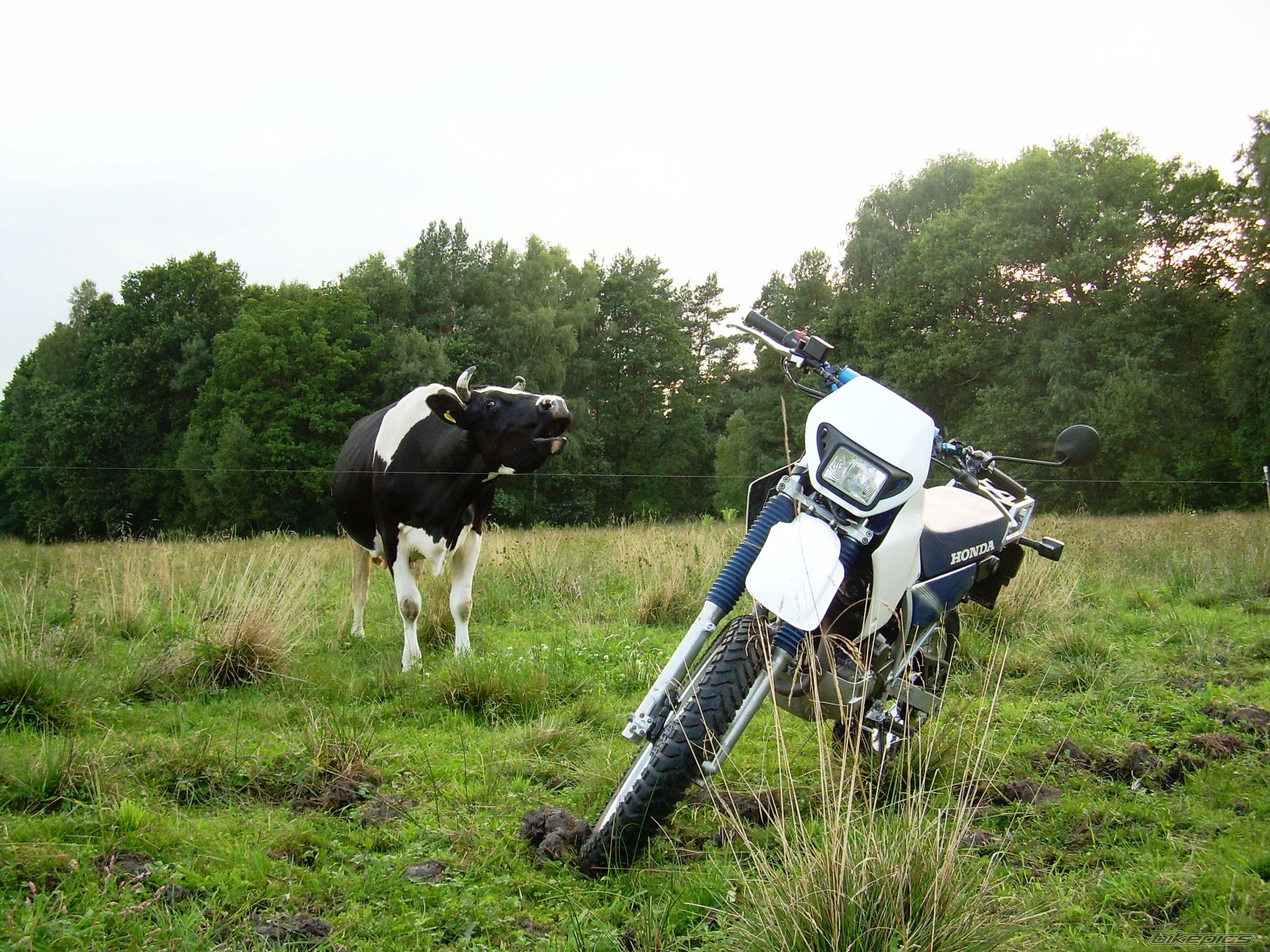 Photo 2037538