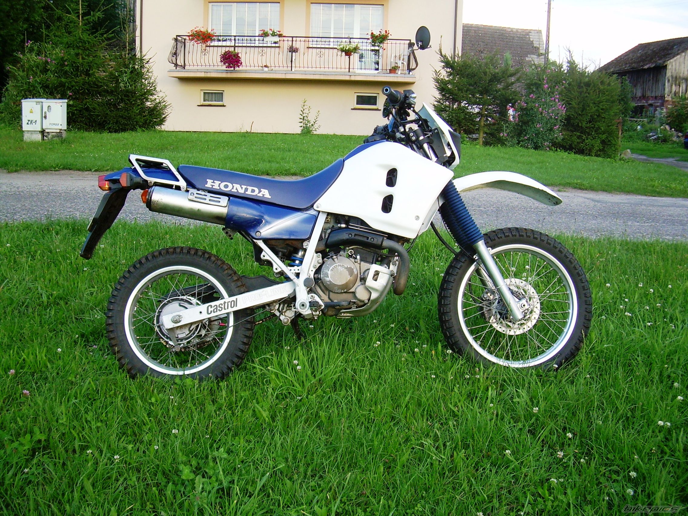 Photo 2037544