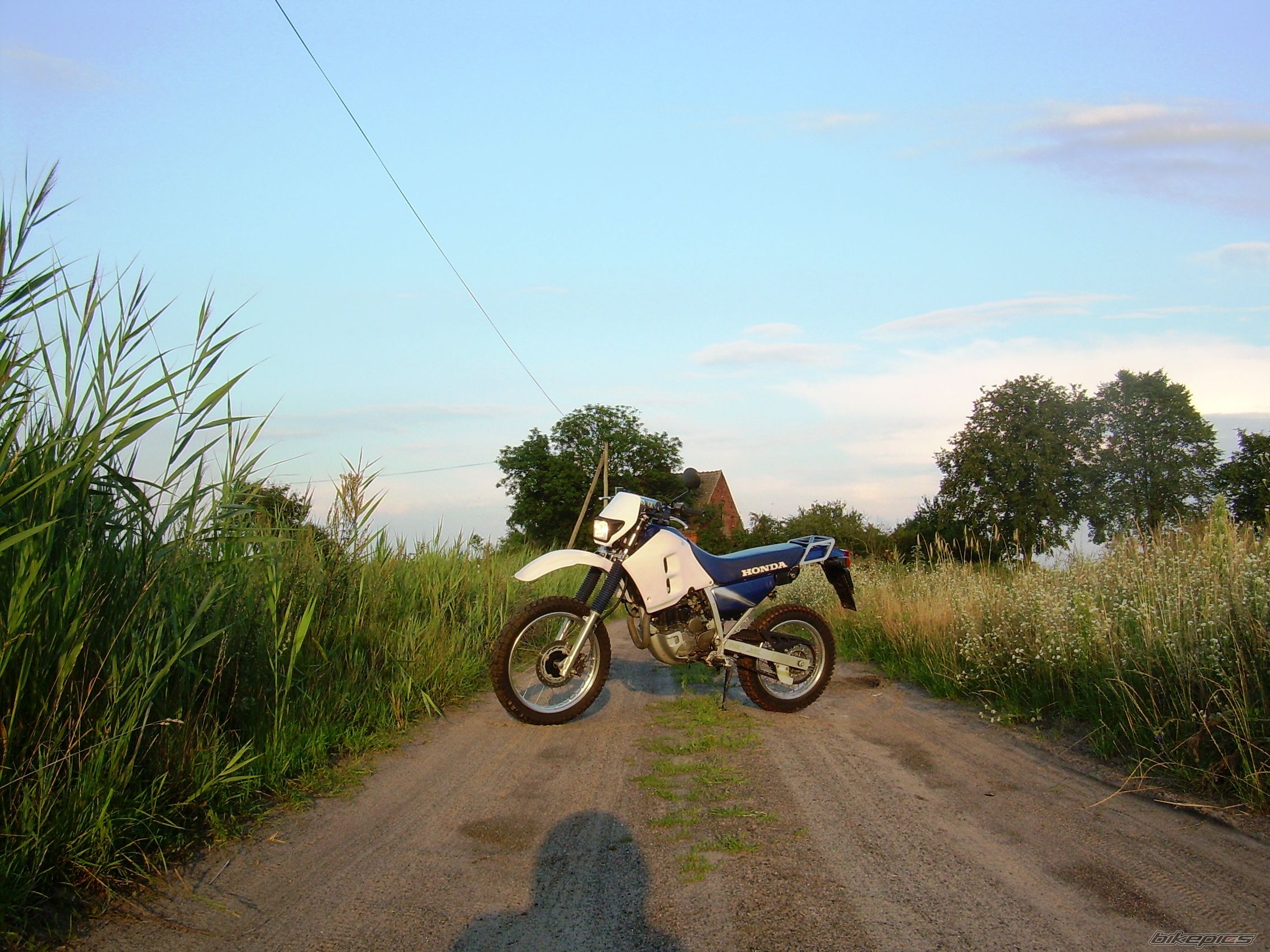 Photo 2037556