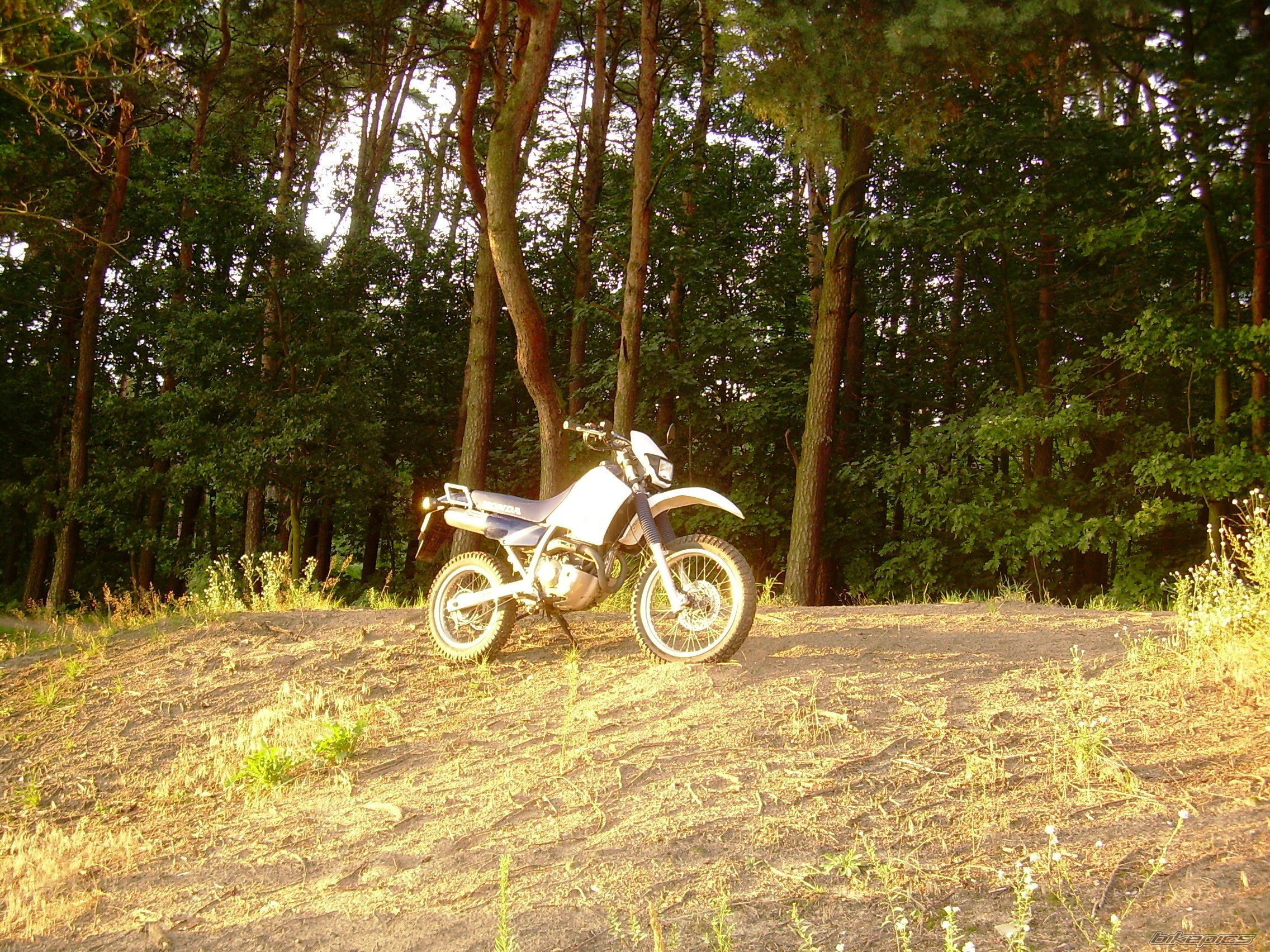 Photo 2037573