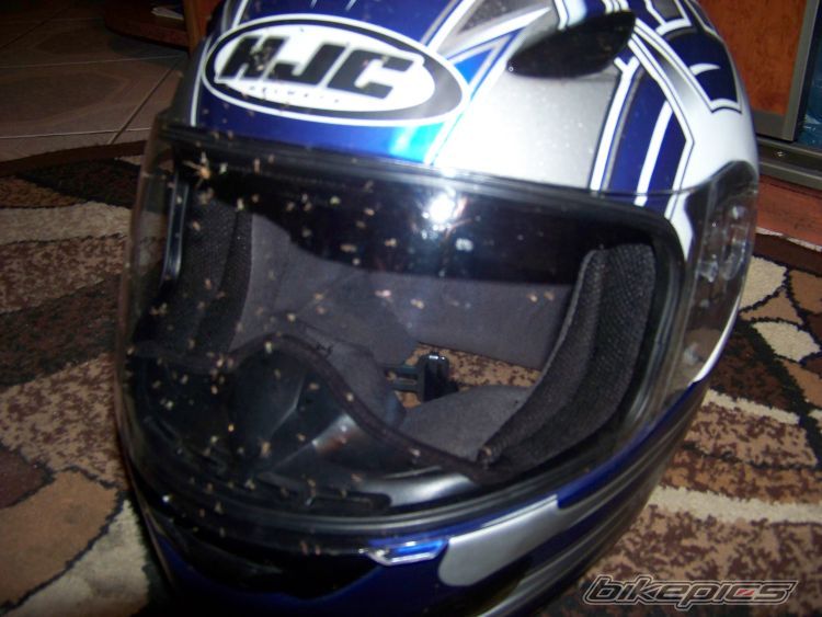 Bike Photo 2037604