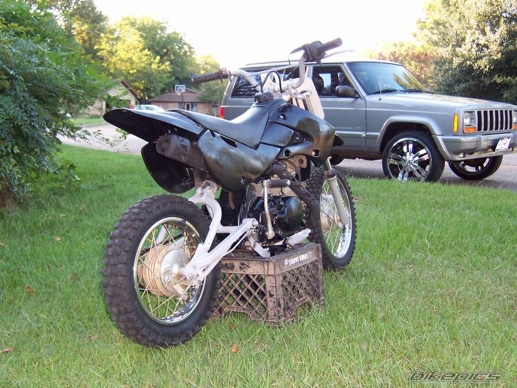 Photo 203775