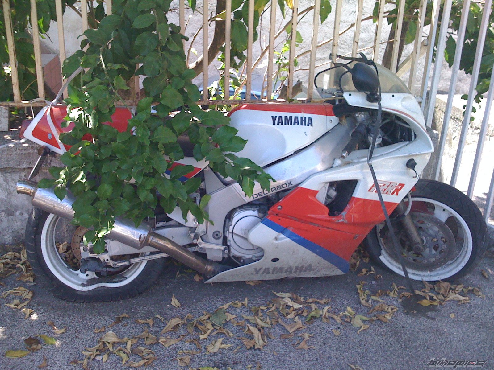 Bike Photo 2037832