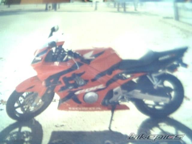 Photo 20379