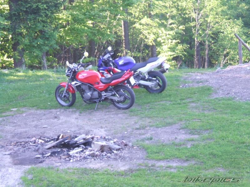 Photo 2038040