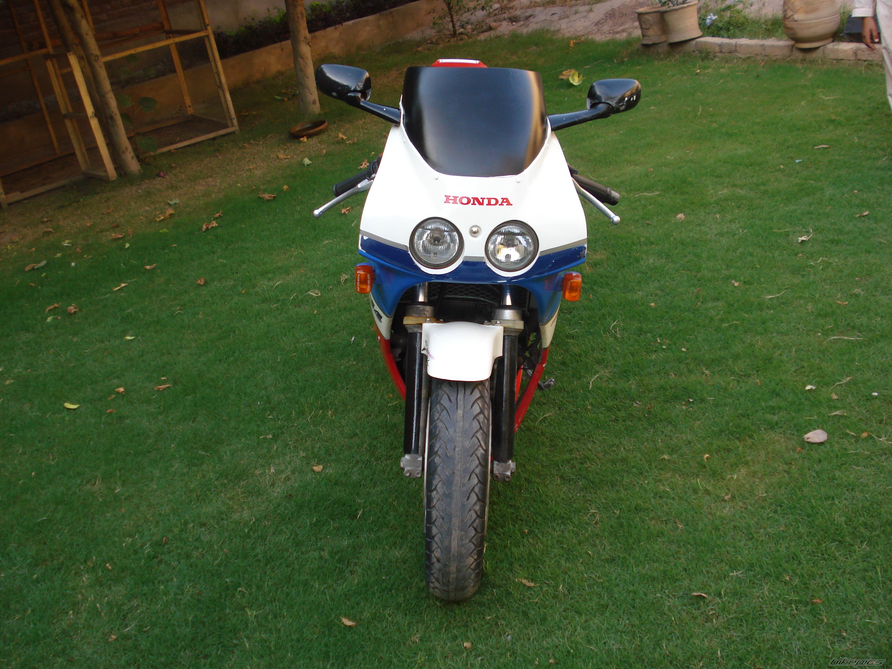 Photo 2038290