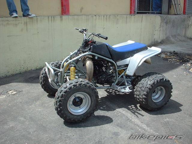 Photo 203830