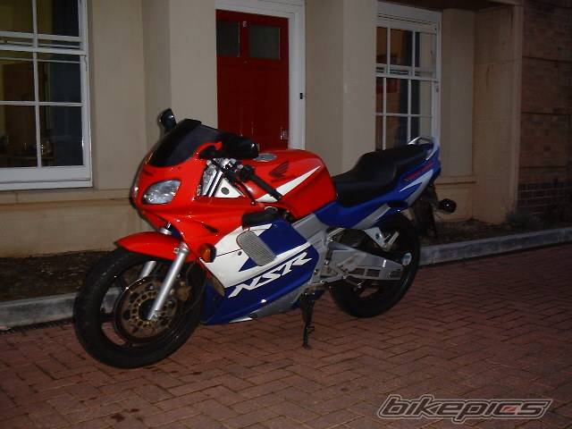Photo 203832