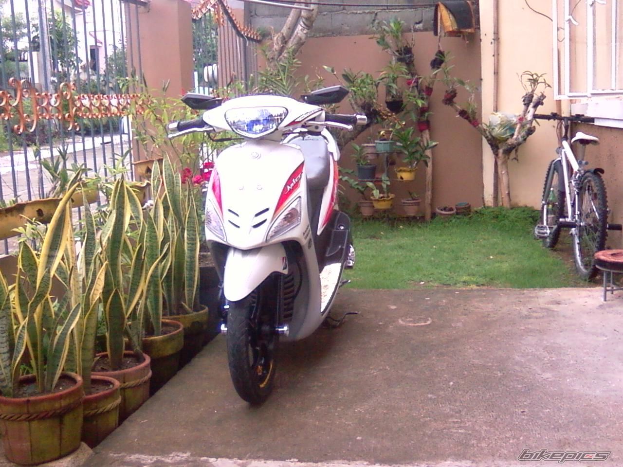 Bike Photo 2038442