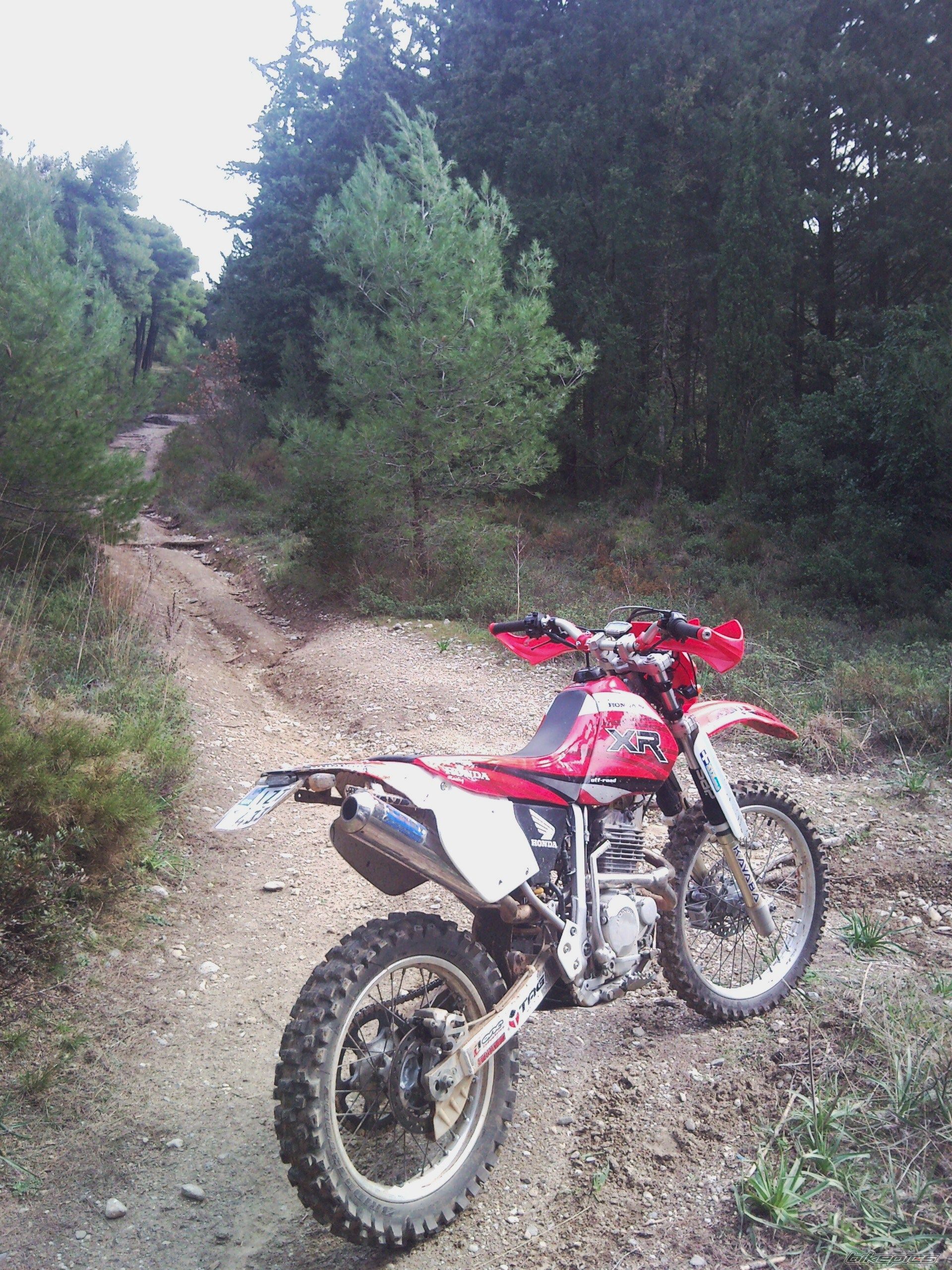 Photo 2038477