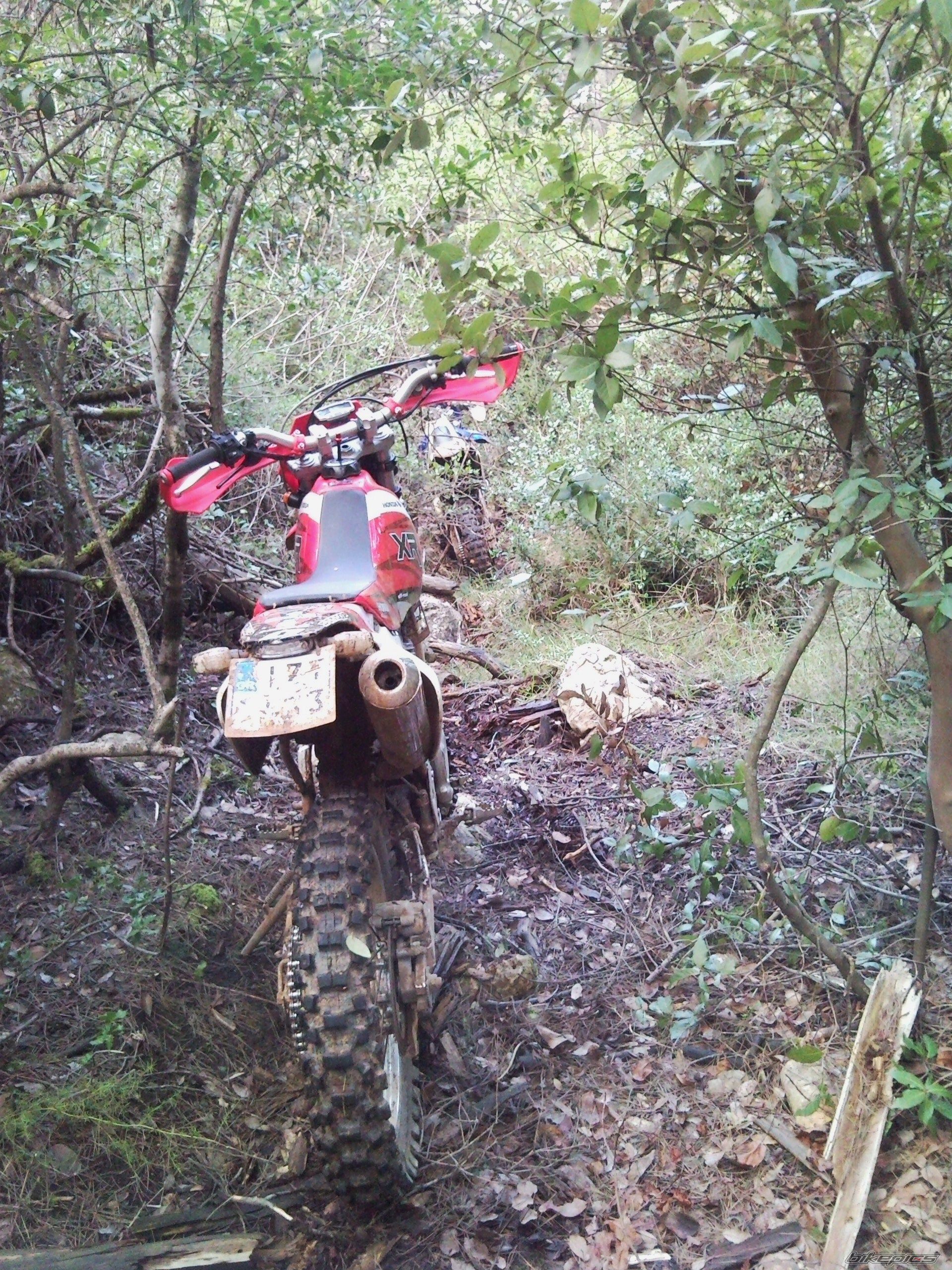 Photo 2038481