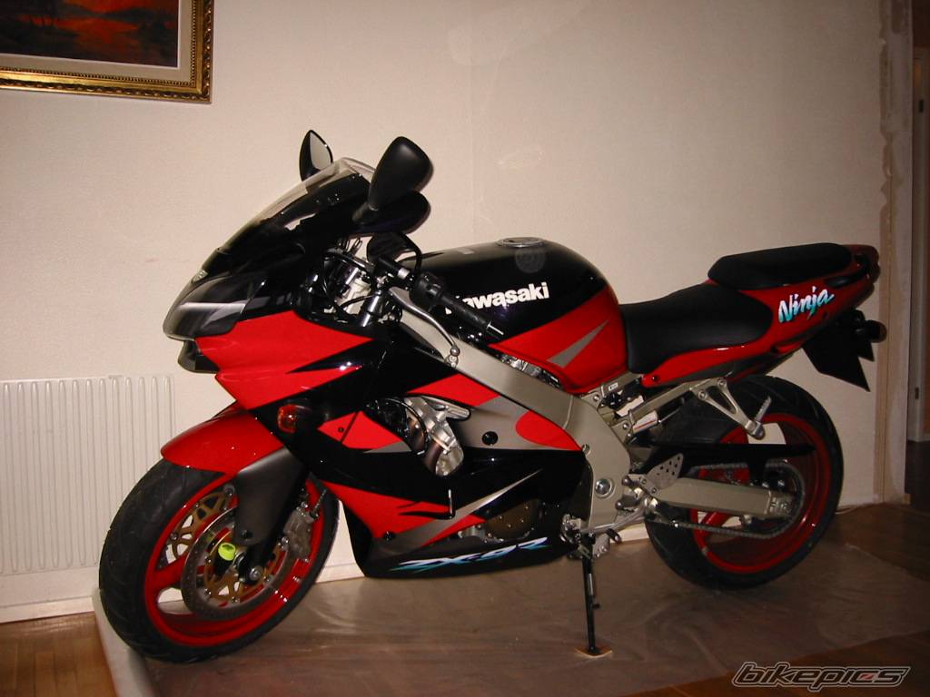 Photo 20385