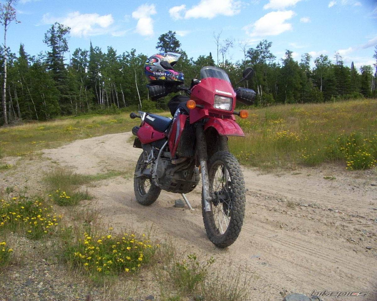 Photo 203869