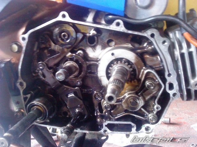 Photo 2038707